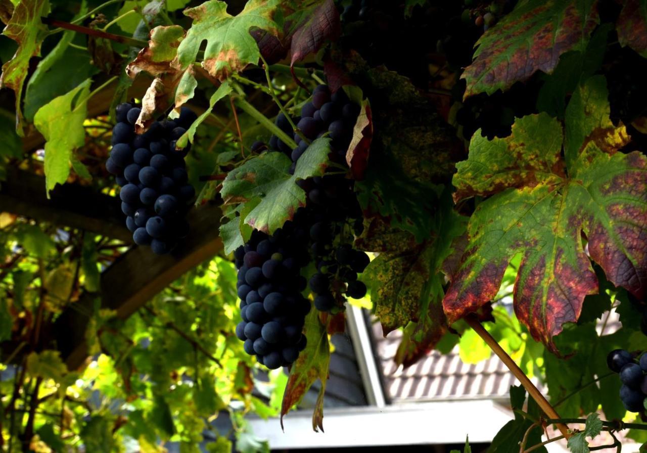 De Corylus Vakantie Appartement Oosterhesselen 外观 照片